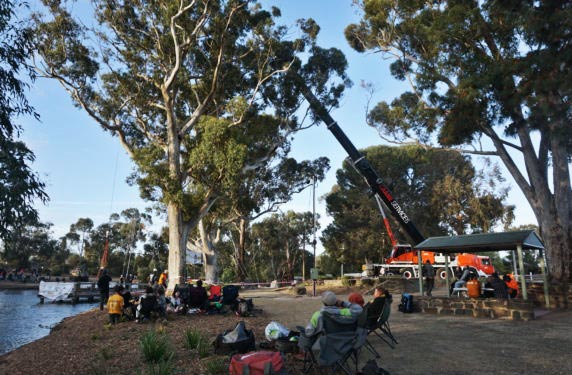 Crane Services at Red Bull Branched Out Tree Climb